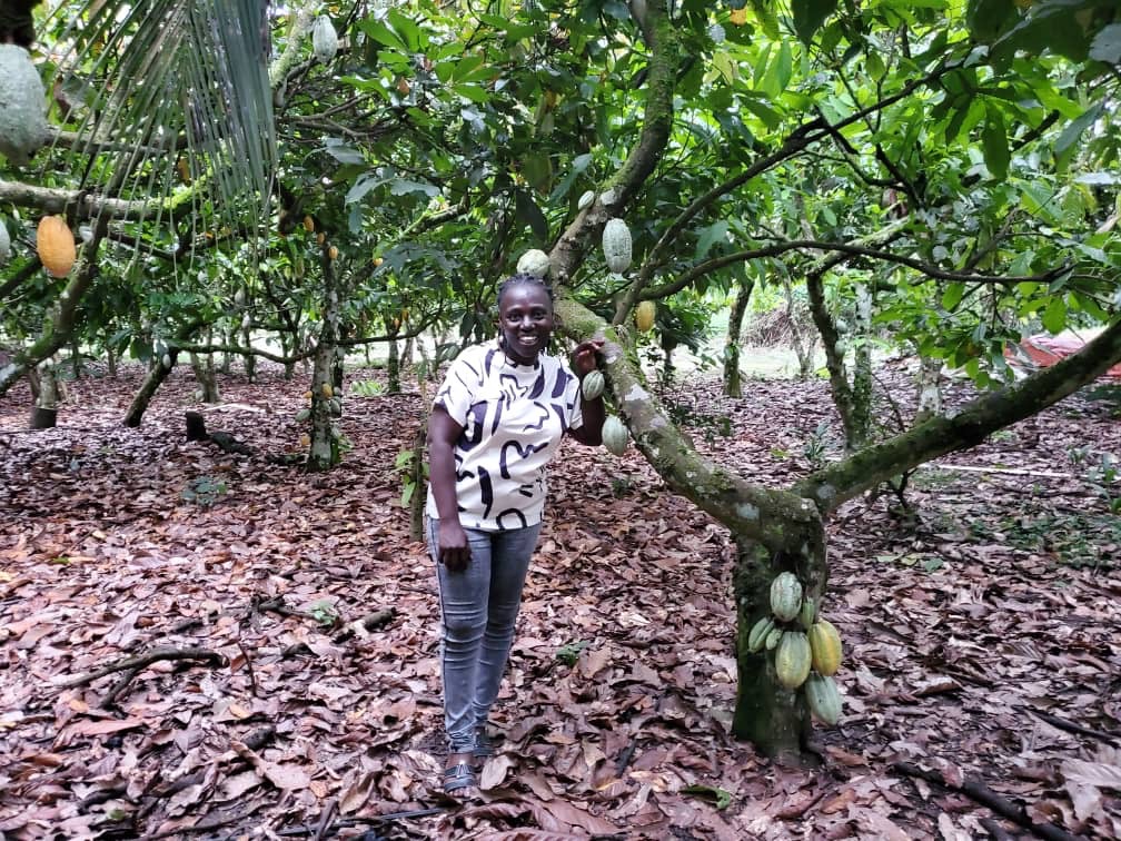 GHANA – Leticia農園 ガーナ共和国